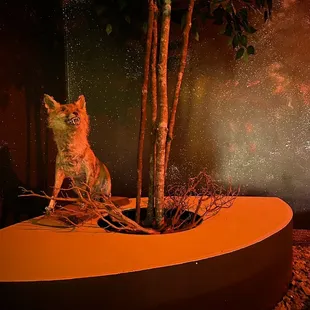 Brought the outside inside.