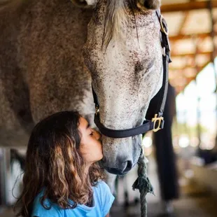 Our lesson horses are well loved