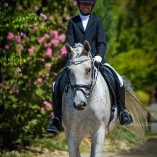 A summer of lessons led to success in the show arena