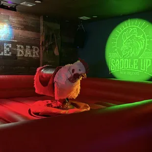 Cock riding!