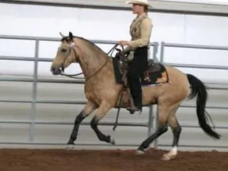 Kacey Sport Ponies