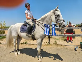 Sacramento Equestrian Center
