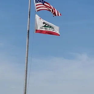 US &amp; CA Flags  04-02-2022