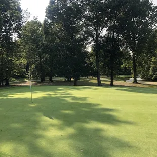 Saddlebrook Golf Club
