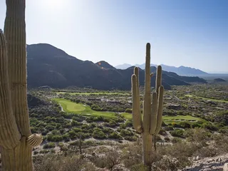 The Gallery Golf Club