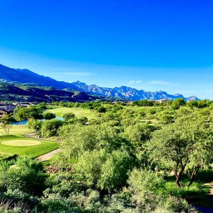a view of the golf course