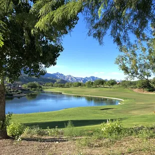 a view of the golf course