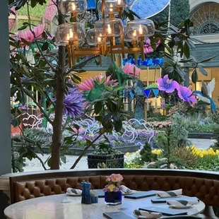 Sadelle's Garden view