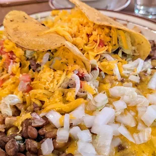 Shredded beef brisket tacos