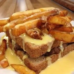 french fries and cheese sandwich
