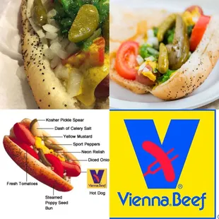 Vienna Beef Chicago Hotdogs and Vienna Beef Maxwell Street Sausages with Spicy Coca-Cola Street Onions