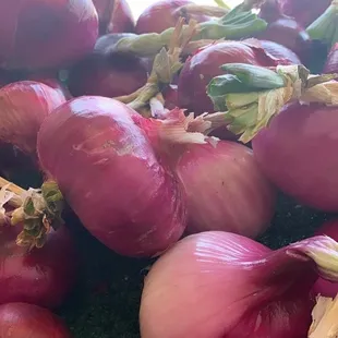 Sweet red onion