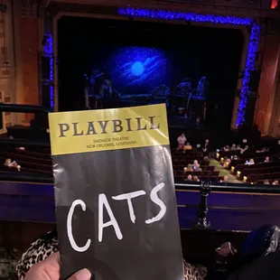 View from the Suite Level. Cats Playbill