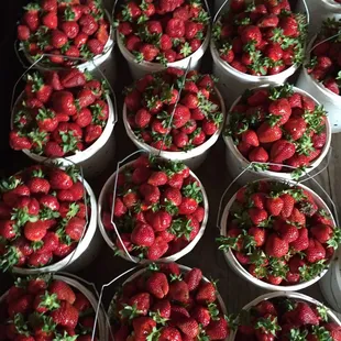 Strawberries fresh from the farm.
