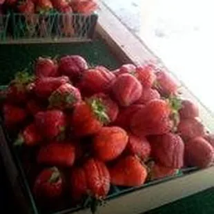a display of fresh strawberries