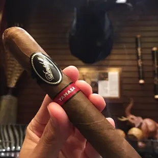 a hand holding a cigar