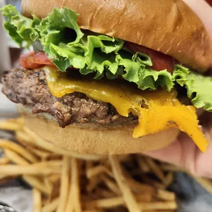 Cheeseburger with fries