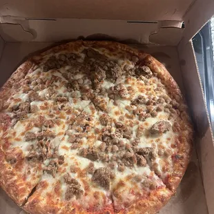 2 Large Cheese Pizzas Special