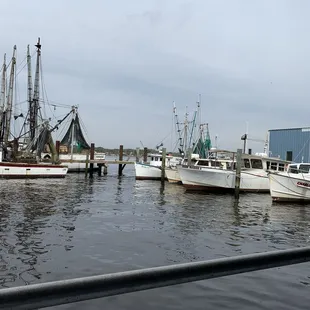 view off back patio dining