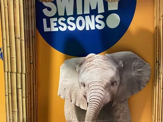 Bear Paddle Swim School - Louisville