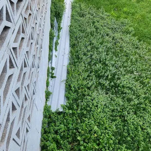 Materials left in our yard for a year