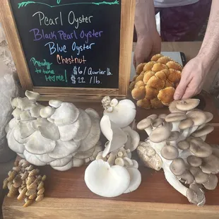Variety of amazing mushrooms available at the market!