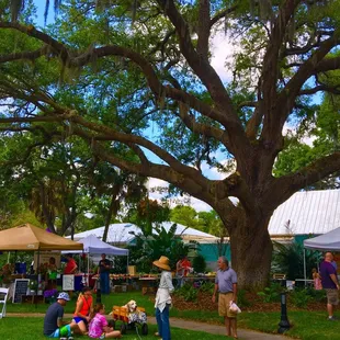 Nice grass area and shade
