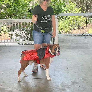 Halloween dog costume contest!