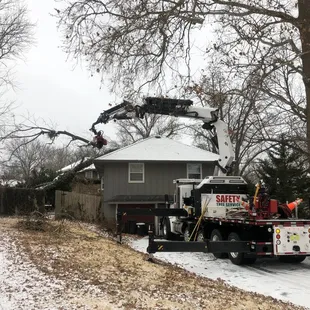Safety Tree service removing a fallen tree off of a house