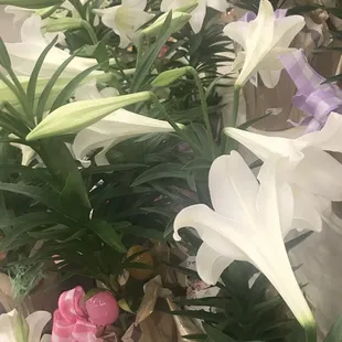 a bunch of white and purple flowers