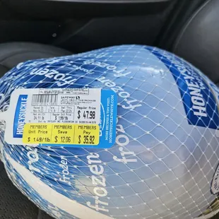 a plastic ball wrapped in netting