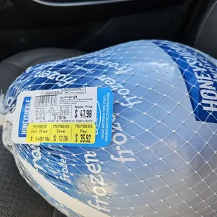 a plastic ball wrapped in a net