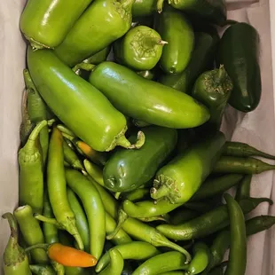 food