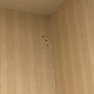 Moldin the bathroom!!!!