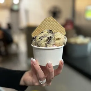 SMALL - Cookies &amp; Cream &amp; Strawberry $4