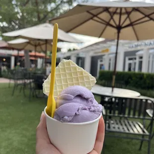 Taro &amp; ube
