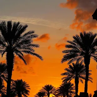 a clock tower and palm trees