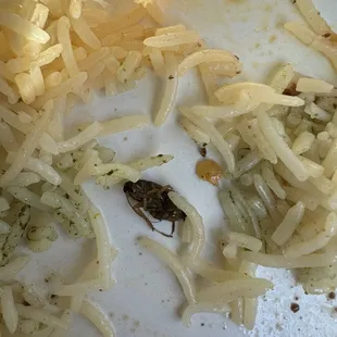We brought take out home but found cockroaches in the meal.