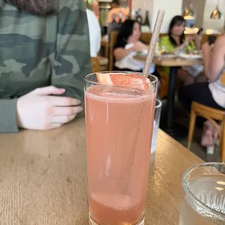 greyhound