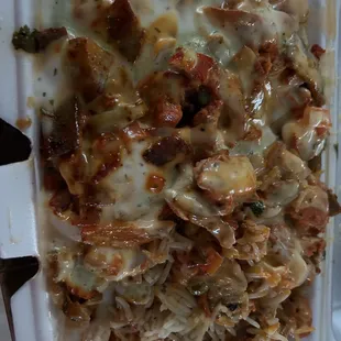 Gyro and Rice with White and Green Sauce - Great!