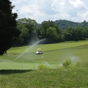 It is a beautiful day to go Golfing in the Sag Hollow!