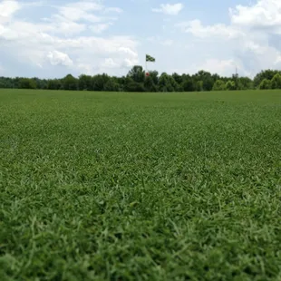 Grass is always kept in perfect conditions to meet professional golfers needs.