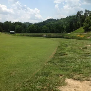 Some of the golf course