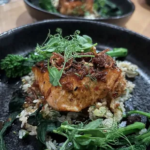 Shoyu Salmon