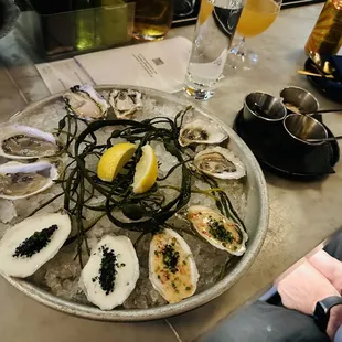East Coast Oysters