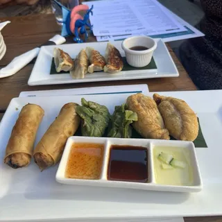 Sage Mixed Appetizer