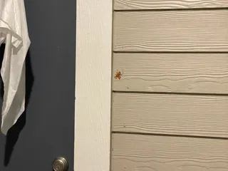 Ariza Corpus Christi