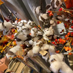 a bunch of cotton flowers