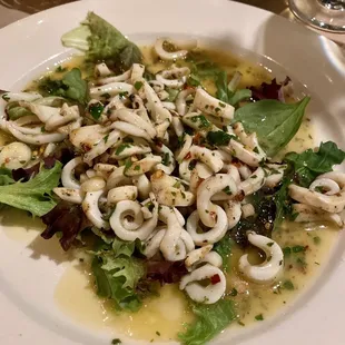 Grilled Calamari
