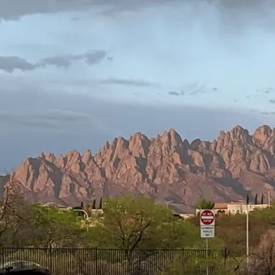 View of the Organ Mountains from the park.